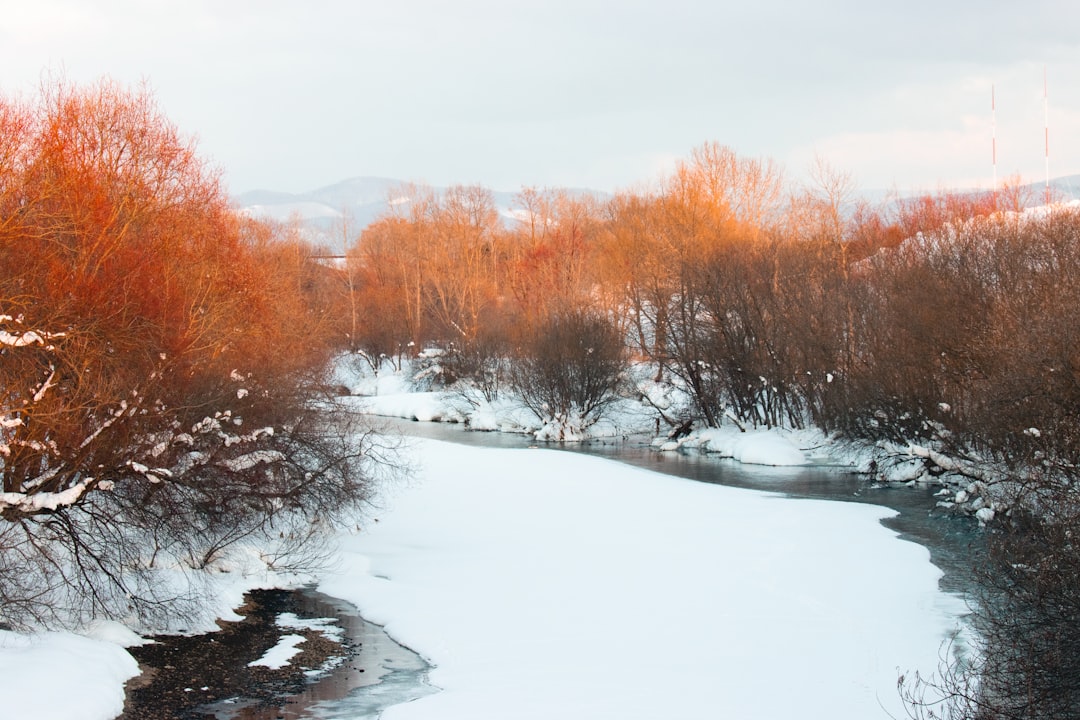 a river running through a snow covered forest