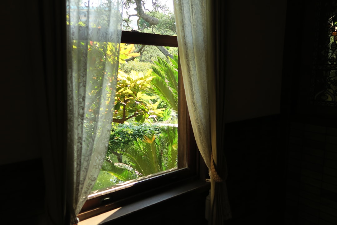a window with a view of trees outside