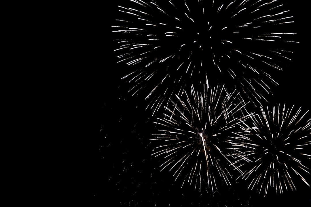 A couple of fireworks are lit up in the night sky