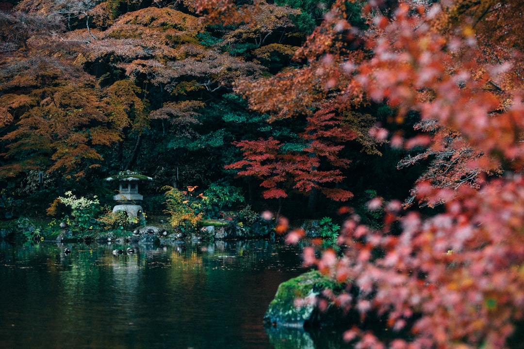 a pond surrounded by trees with a pagoda in the middle