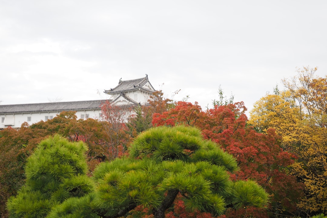 a building with a tower and trees in front of it