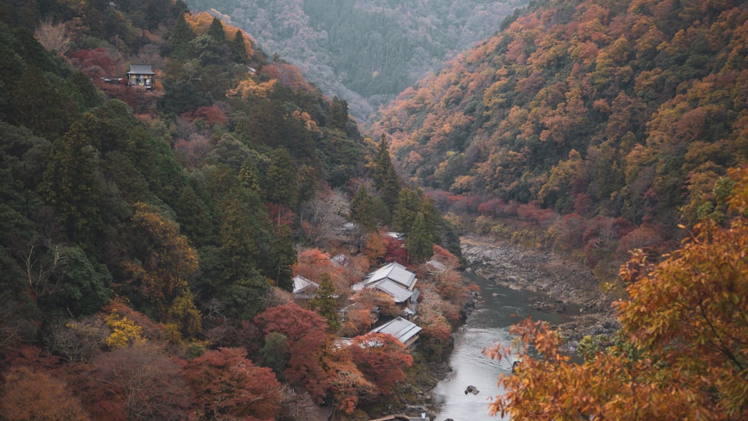 river between two green mountains