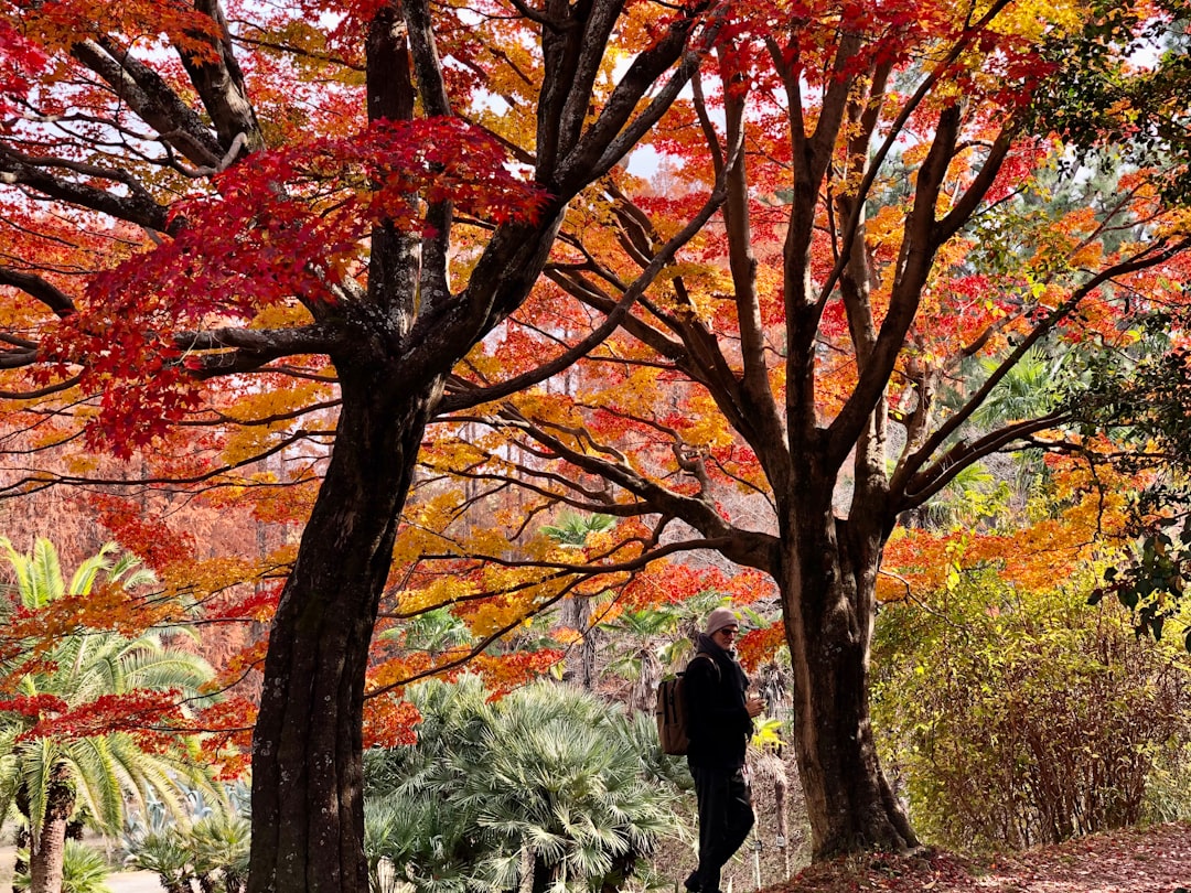 woman in black jacket standing under brown tree during daytime