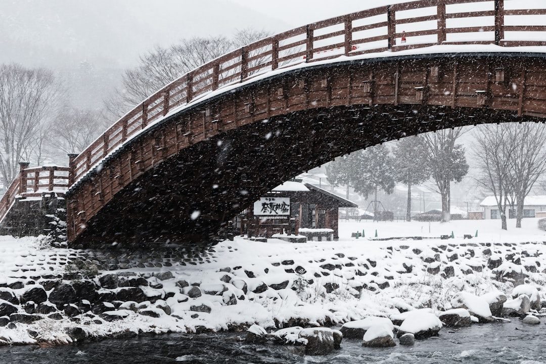 a bridge that is over a river in the snow