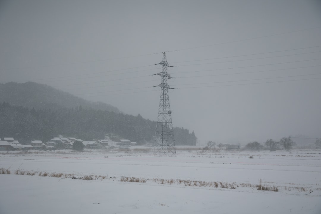 A telephone pole in the middle of a snowy field